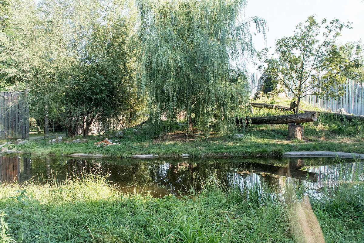 Зоопарк в чешском городке Годонин (ZOO Hodonín)