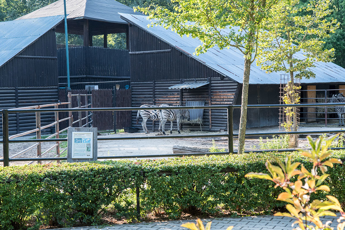 Зоопарк в чешском городке Годонин (ZOO Hodonín)