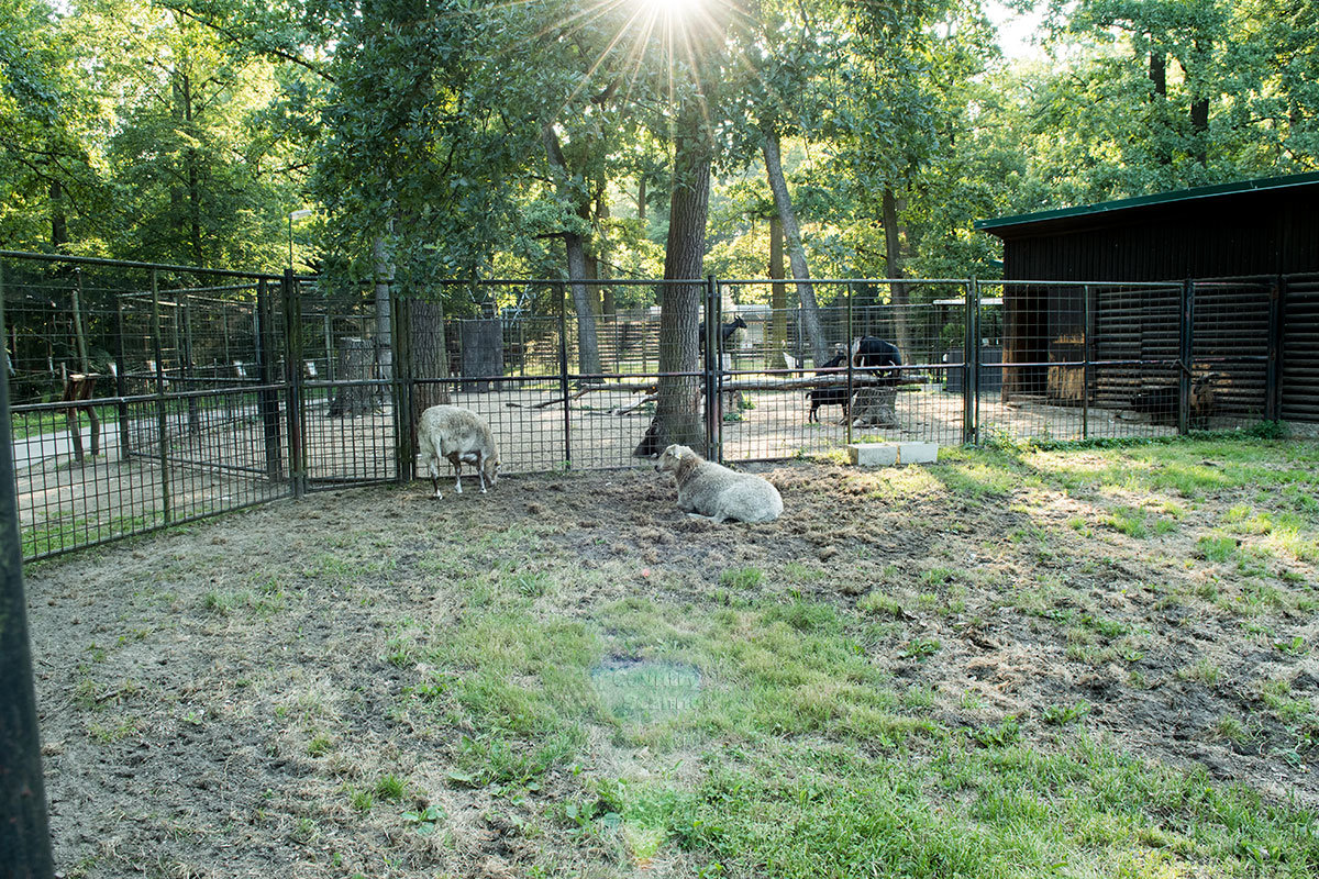 Зоопарк в чешском городке Годонин (ZOO Hodonín)