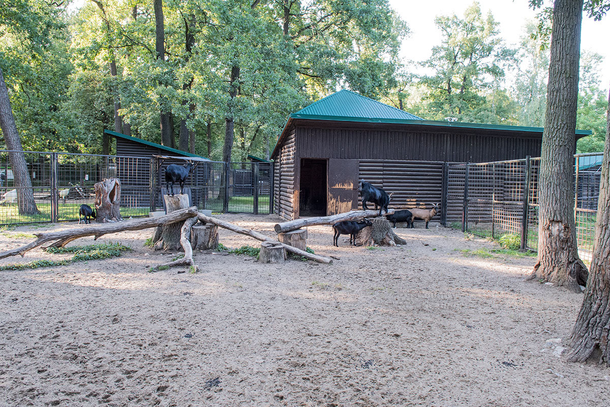 Зоопарк в чешском городке Годонин (ZOO Hodonín)