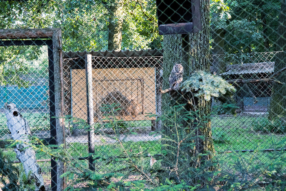 Зоопарк в чешском городке Годонин (ZOO Hodonín)