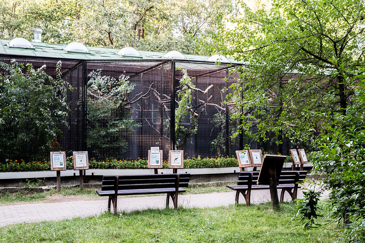 Зоопарк в чешском городке Годонин (ZOO Hodonín)