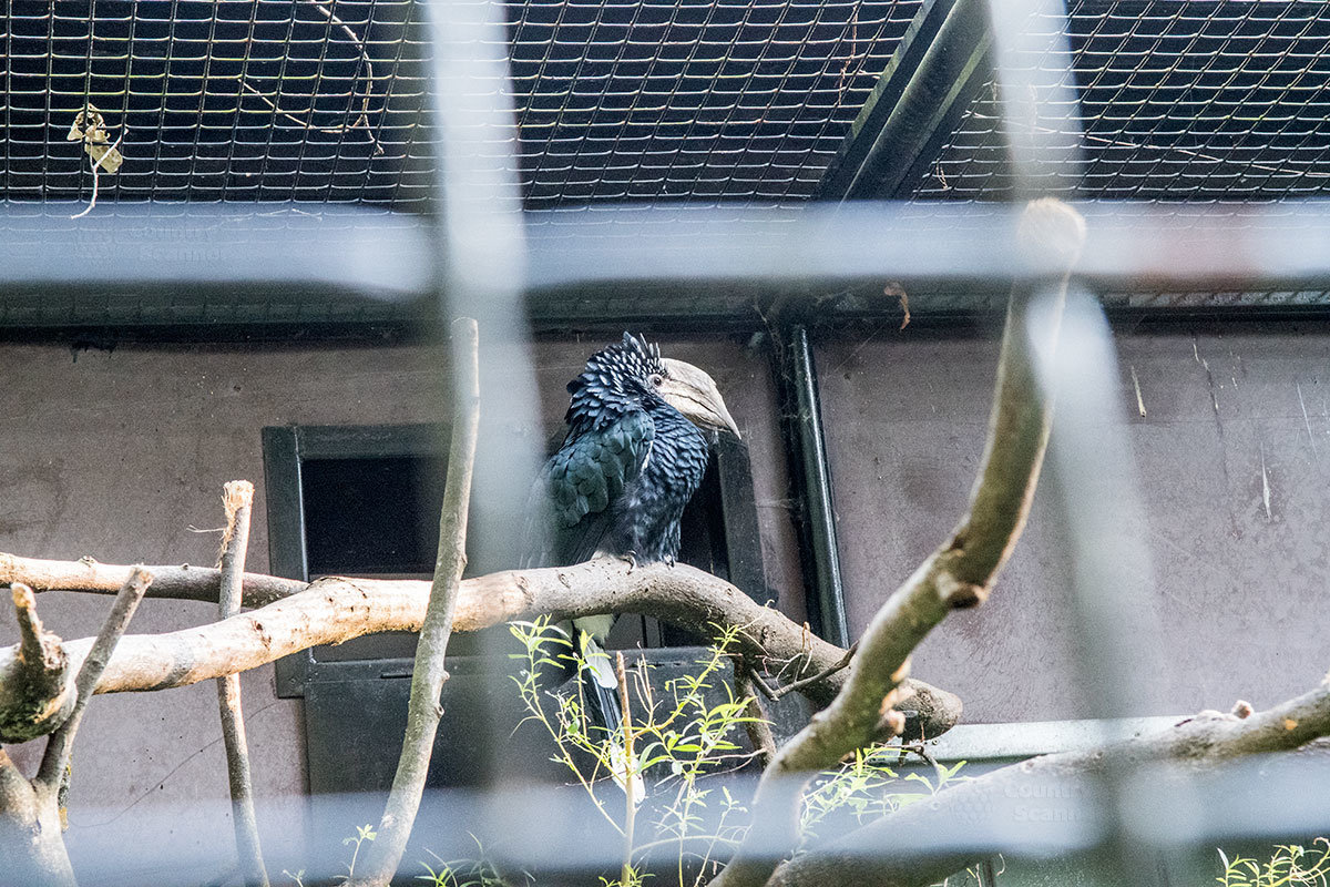 Зоопарк в чешском городке Годонин (ZOO Hodonín)
