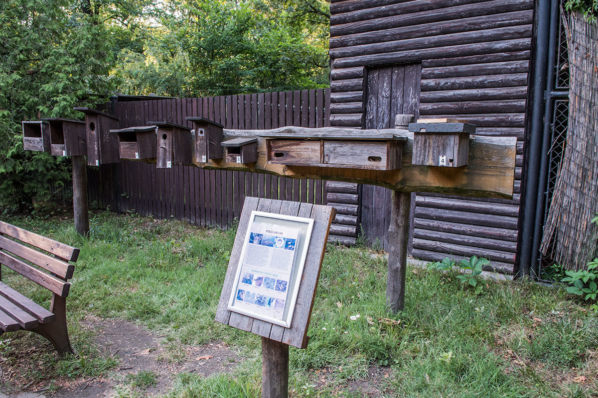 Зоопарк в чешском городке Годонин (ZOO Hodonín)