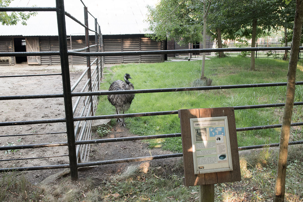 Зоопарк в чешском городке Годонин (ZOO Hodonín)