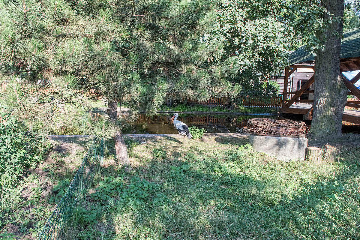 Зоопарк в чешском городке Годонин (ZOO Hodonín)