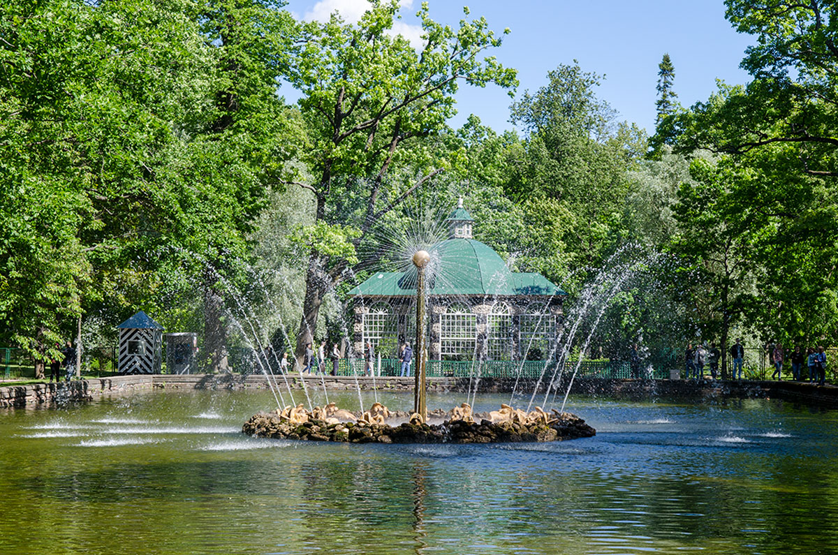 Вольеры Петергофа