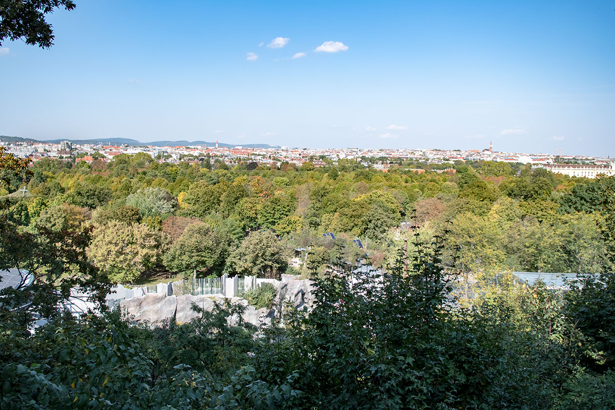 Зоопарк Шенбрунна