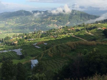 Rice terraces.JPG