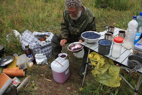 изготовление голубичного вина.JPG (145.49 КБ) 13233 просмотра изготовление голубичного вина.JPG
