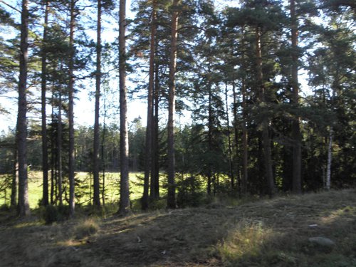 P8240561.JPG