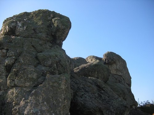 IMG_0004.jpg (202.09 КБ) 2942 просмотра IMG_0004.jpg