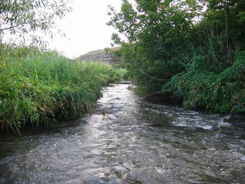 IMG_0033.jpg (379.82 КБ) 2942 просмотра IMG_0033.jpg