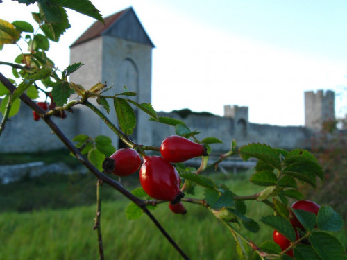 visby wall.JPG