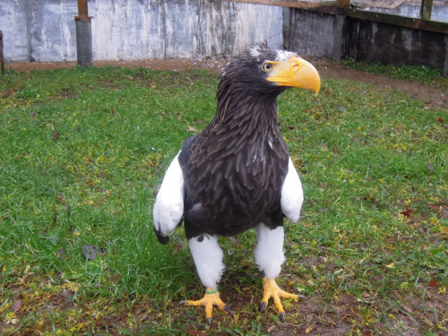 DSCN1129.JPG
