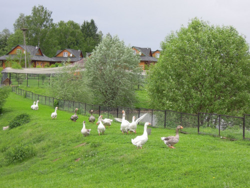 DSCN8713.JPG