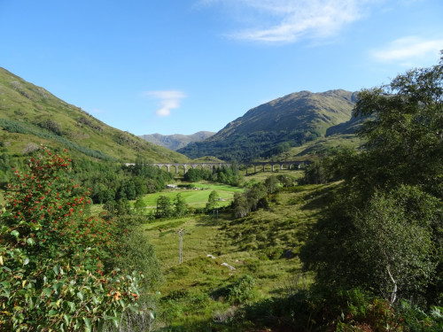 DSC06279.JPG (544.16 КБ) 8608 просмотров DSC06279.JPG