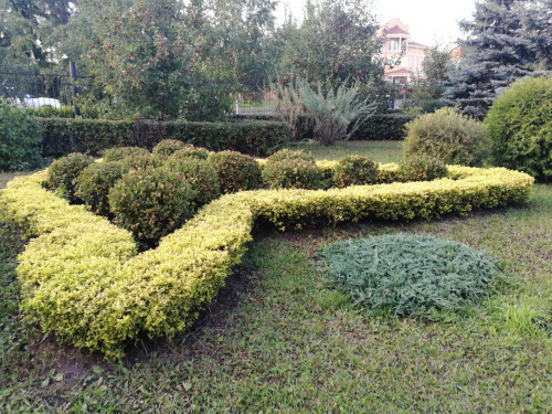 IMG_20170908_183750.jpg (474.04 КБ) 10344 просмотра IMG_20170908_183750.jpg