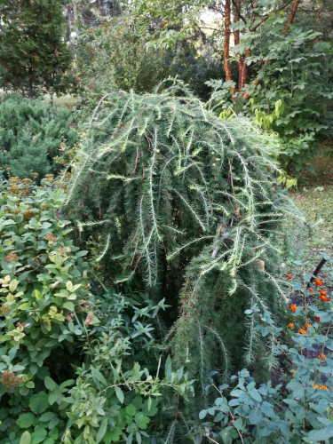 IMG_20170908_182245.jpg (299.87 КБ) 10344 просмотра IMG_20170908_182245.jpg