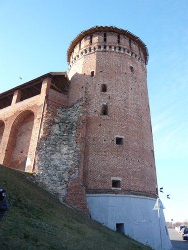 P1140406-1.jpg