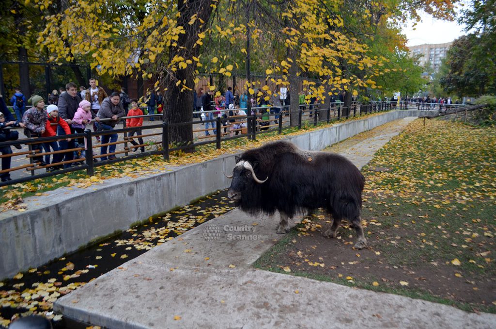 Московский зоопарк