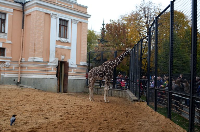 Московский зоопарк