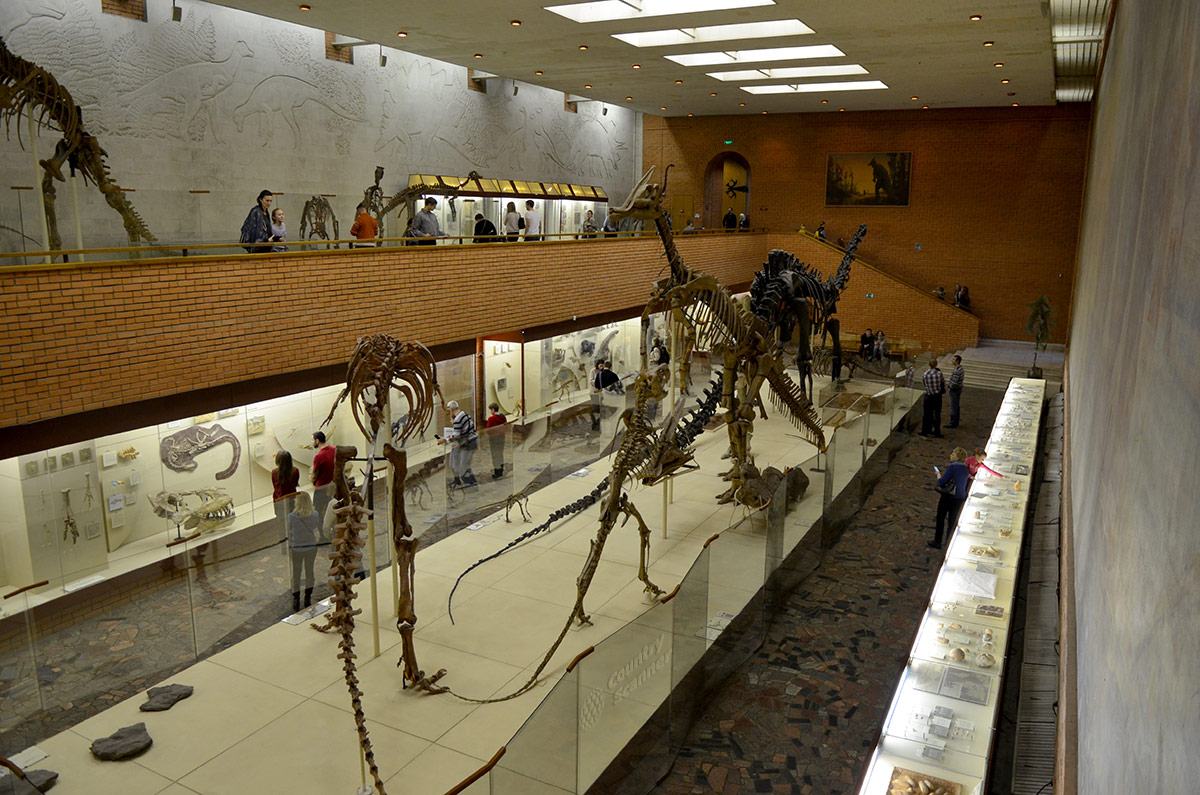 Двухэтажный зал динозавров Палеонтологического музея в Москве.
