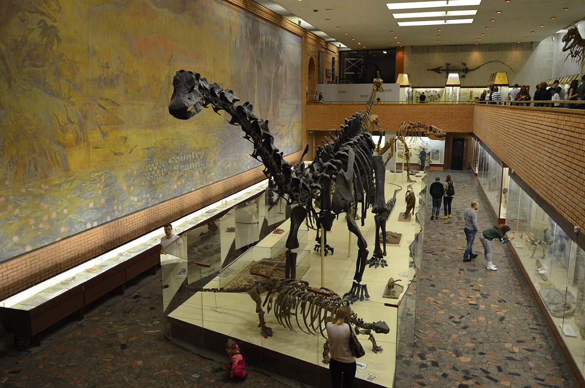 Палеонтологический музей в Москве. Гигантский диплодок и другие динозавры.