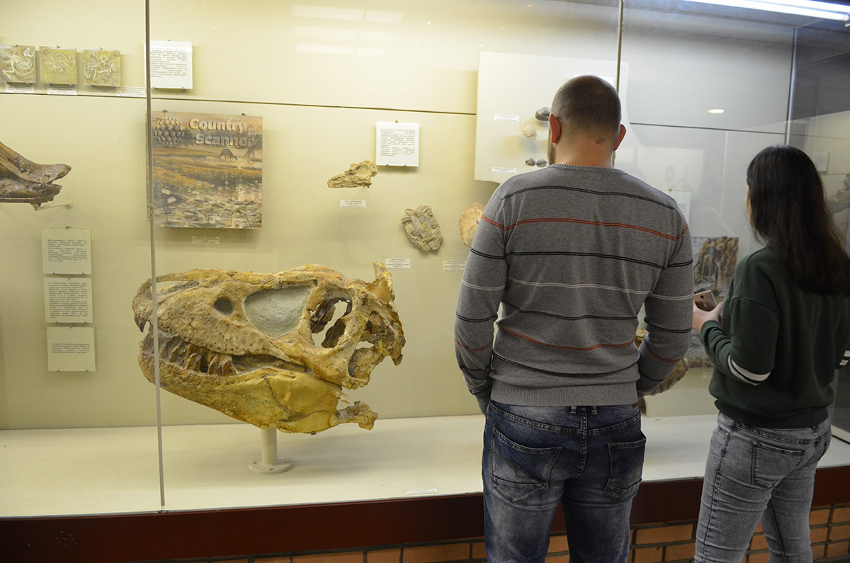 Туристы изучают экспозицию Палеонтологического музея в Москве.