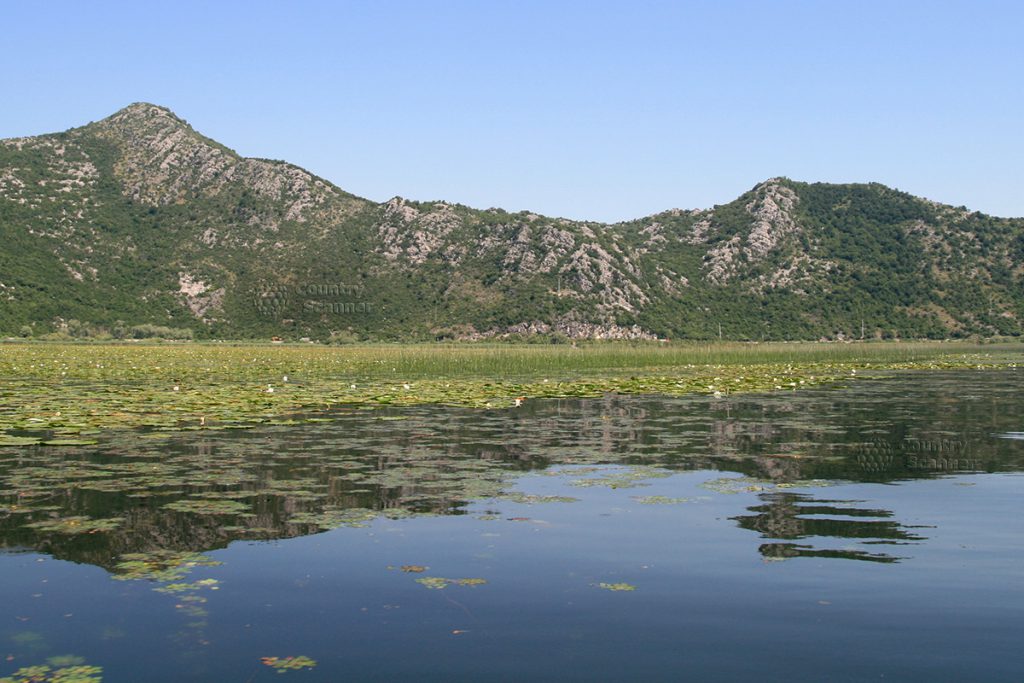 skadarskoe-ozero-countryscanner-1-1024x683.jpg