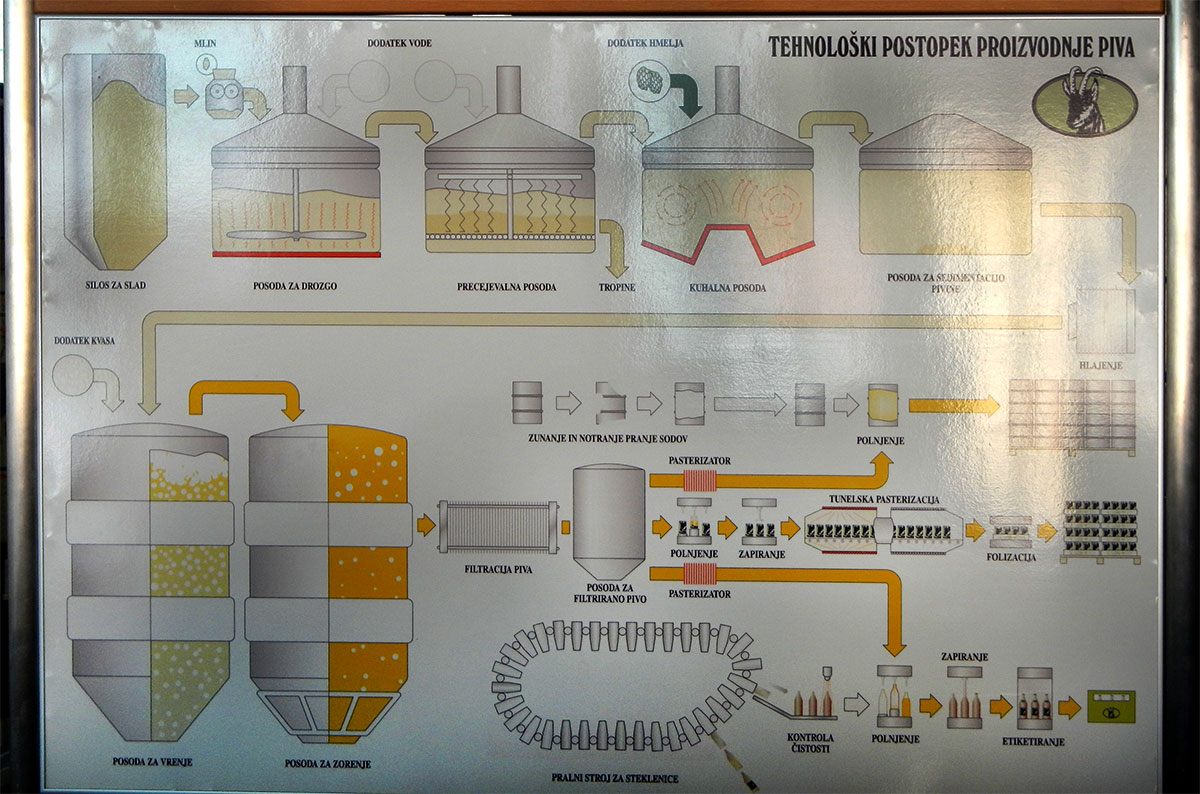 Пивоварня Лашко. Схема производственного цикла.