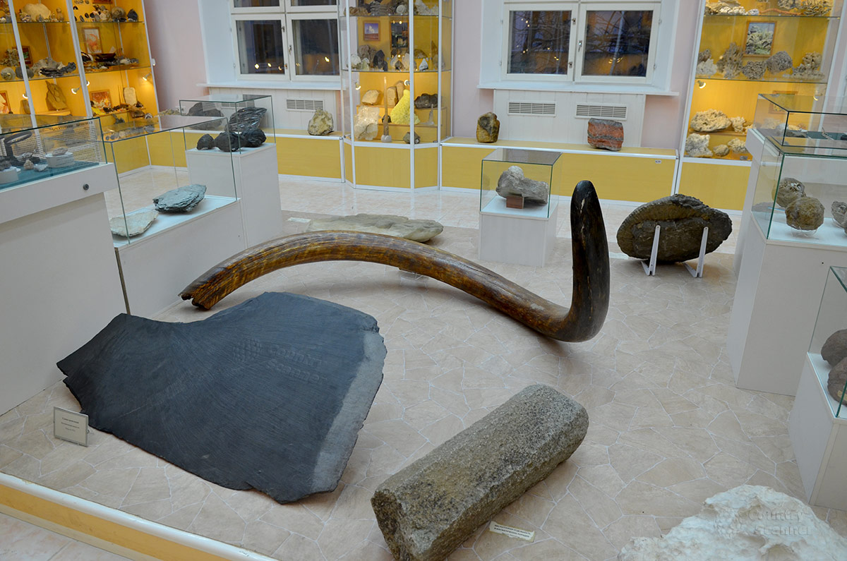 Центральная витрина кунсткамеры геологического музея Вернадского. Гигантский бивень мамонта, один из наибольших найденных в мире.
