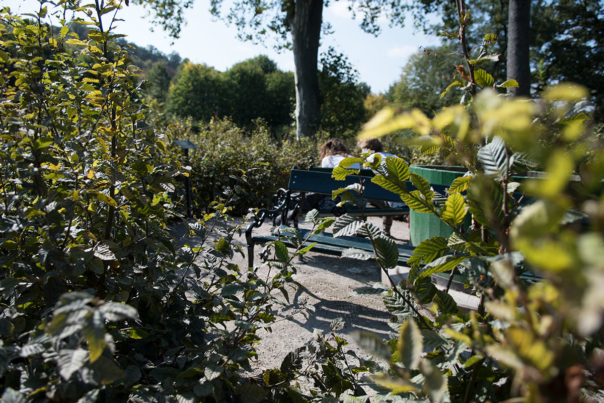 Среди самшитовых живых изгородей создавшие лабиринт Шенбрунна предусмотрели и парковые скамейки для чтения или комфортного отдыха.