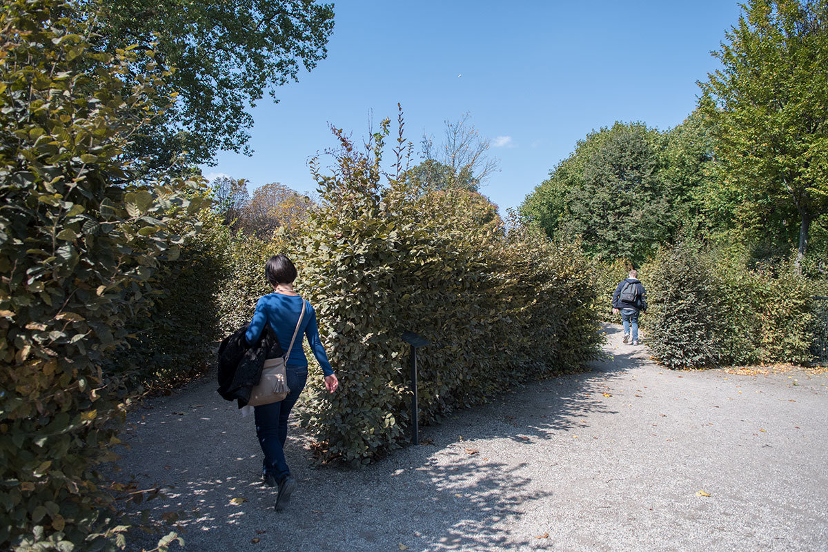 Взрослым посетителям лабиринт Шенбрунна приготовил извилистые живые изгороди из самшита, превосходящие по высоте рост человека.