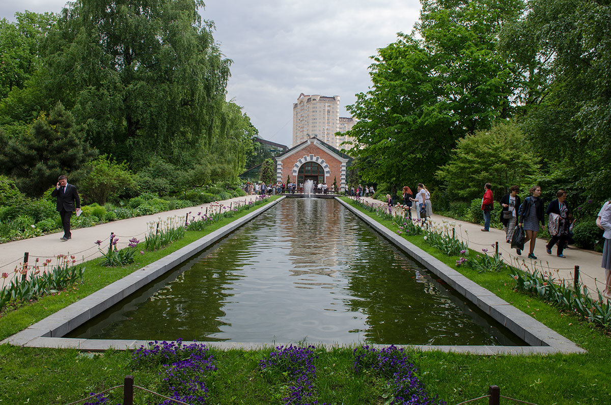 Ботанический сад МГУ, или Аптекарский огород, встречает своих посетителей тенистыми дорожками вдоль водоема.