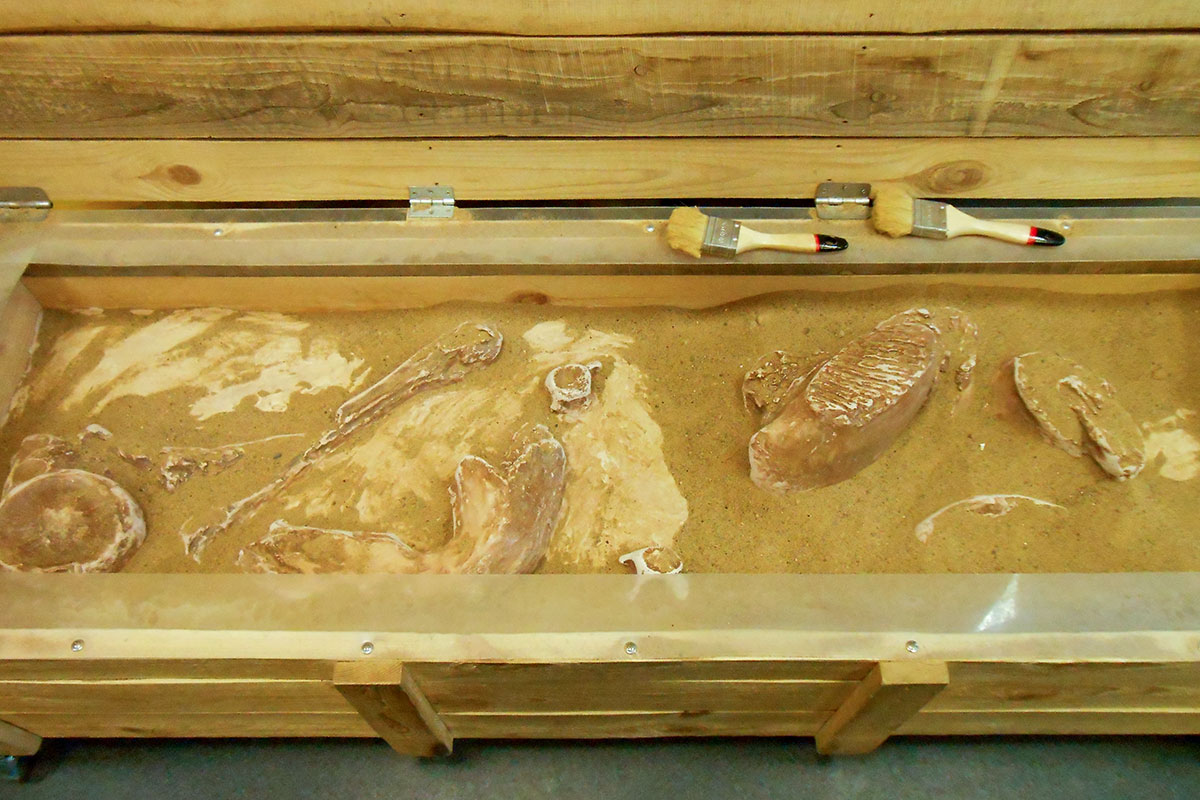 Выполненная руками специалистов палеонтологии инсталляция раскопок достоверно представляет их кропотливую работу.