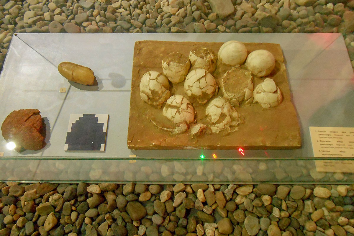 Музей пермских древностей демонстрирует редчайшие находки – яйца динозавров, собранные из разрозненных частичек скорлупы.