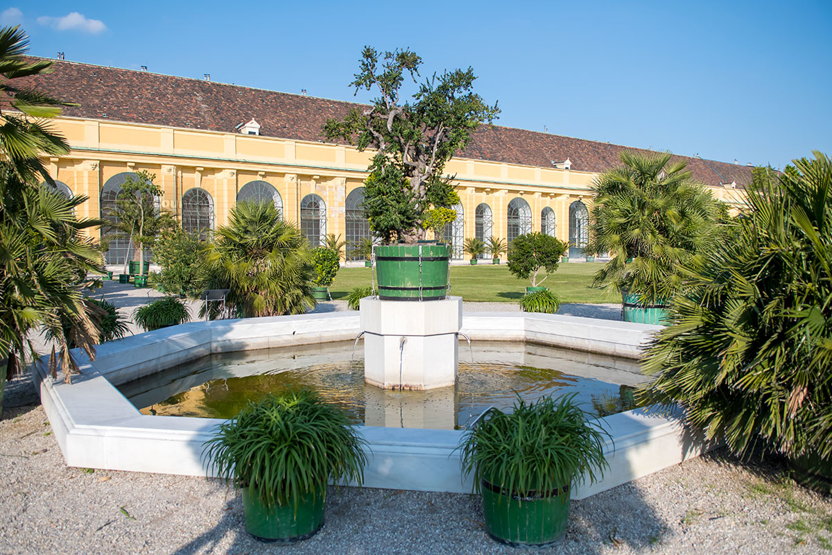Один из фонтанов, украшающих партер Оранжереи в Шенбрунне, оригинален установленной на пьедестале бочкой с декоративным растением.