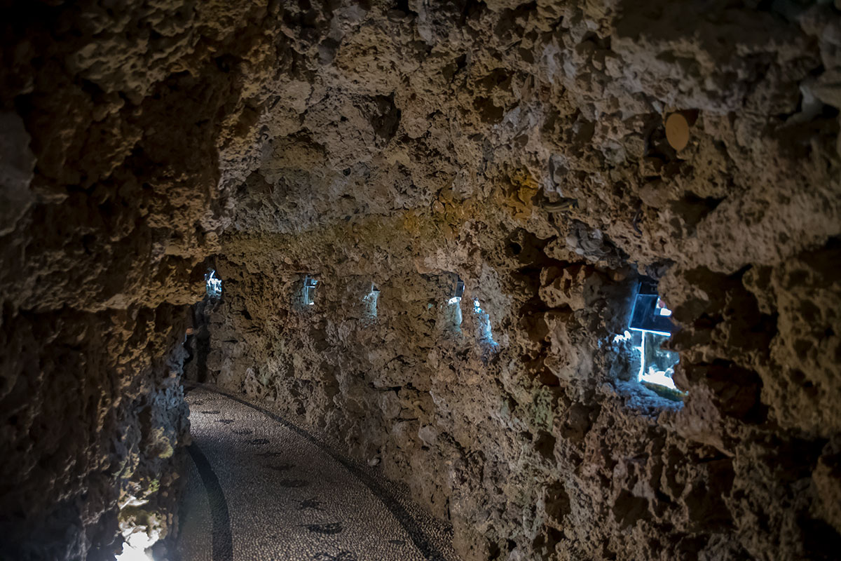 Емкости для живых экспонатов аквариум Родоса расположил в подземном помещении, декорировав его подводной пещерой.