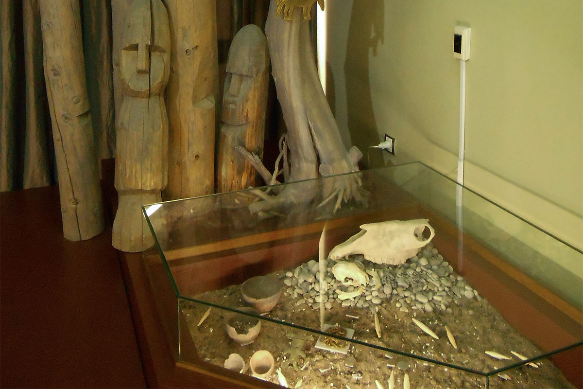 Пермский краеведческий музей начинается с экспозиции археологических находок, которые стали основанием для попадания местности в геологическое исчисление эпох.