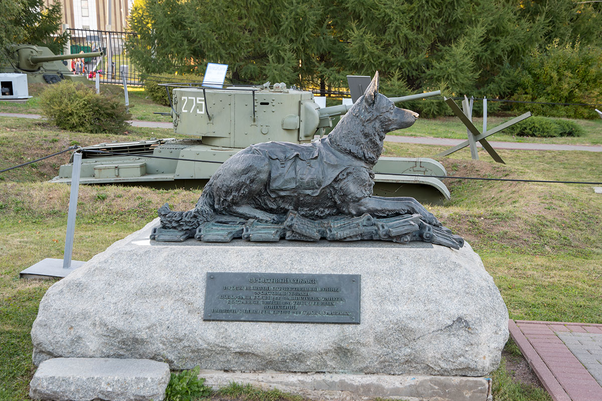 Нечасто увидишь памятник фронтовым собакам, подобный установленному в открытом музее военной техники на Поклонной горе.