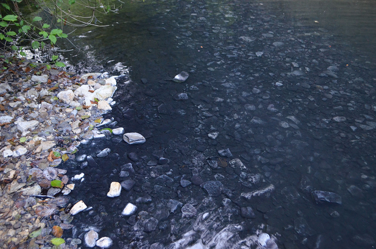 Нерастворимые сульфиды железа и тяжелых металлов выпадают в осадок возле береговой кромки в районе Агурских сероводородных источников.
