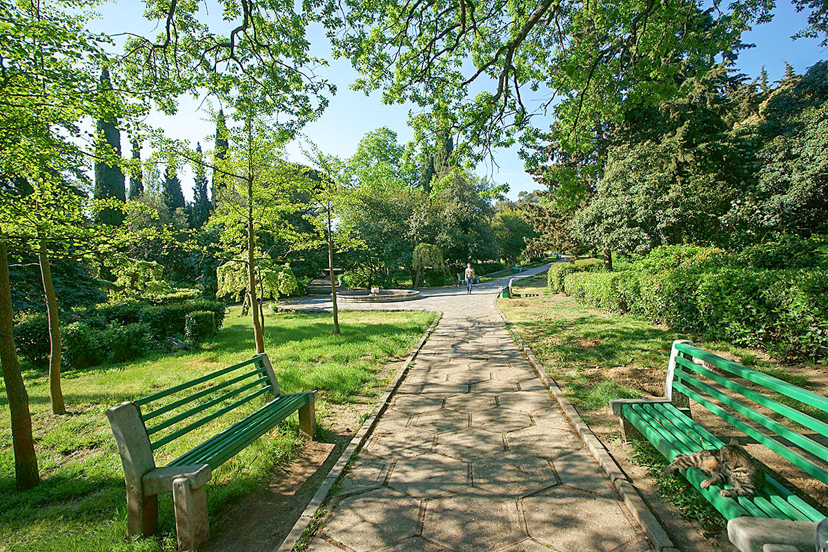 Ближайшая к зданию Ливадийского дворца парковая территория тщательно ухожена, дорожки вымощены плиткой, расставлены садовые скамейки.