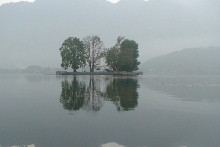 новость 09-04-2019 На острове Чар-Чинари, на озере Дал, посадят Чинары