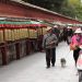 новость 27-04-2019 Столицу Тибета Лхасу посетило 19,9 миллиона посетителей