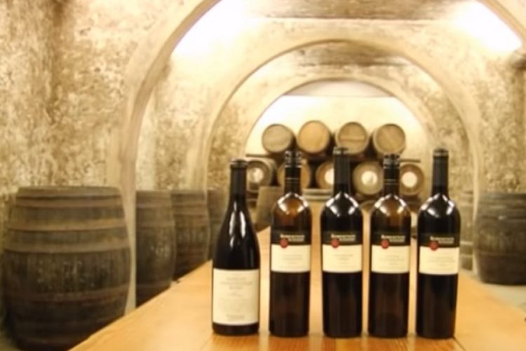 новость 26-04-2019 Столица ЮАР в преддверии грандиозного фестиваля