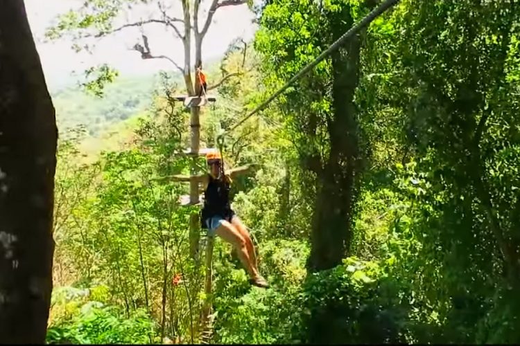 новость 15-04-2019 Зиплайн - стал причиной гибели канадского туриста