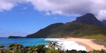 новость 24-04-2019 Бродифакум сбросят на остров Лорд-Хау для уничтожения крыс