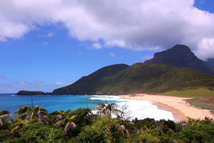 новость 24-04-2019 Бродифакум сбросят на остров Лорд-Хау для уничтожения крыс