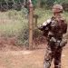 новость 29-04-2019 Пешеходные маршруты появятся на самой враждебной границе